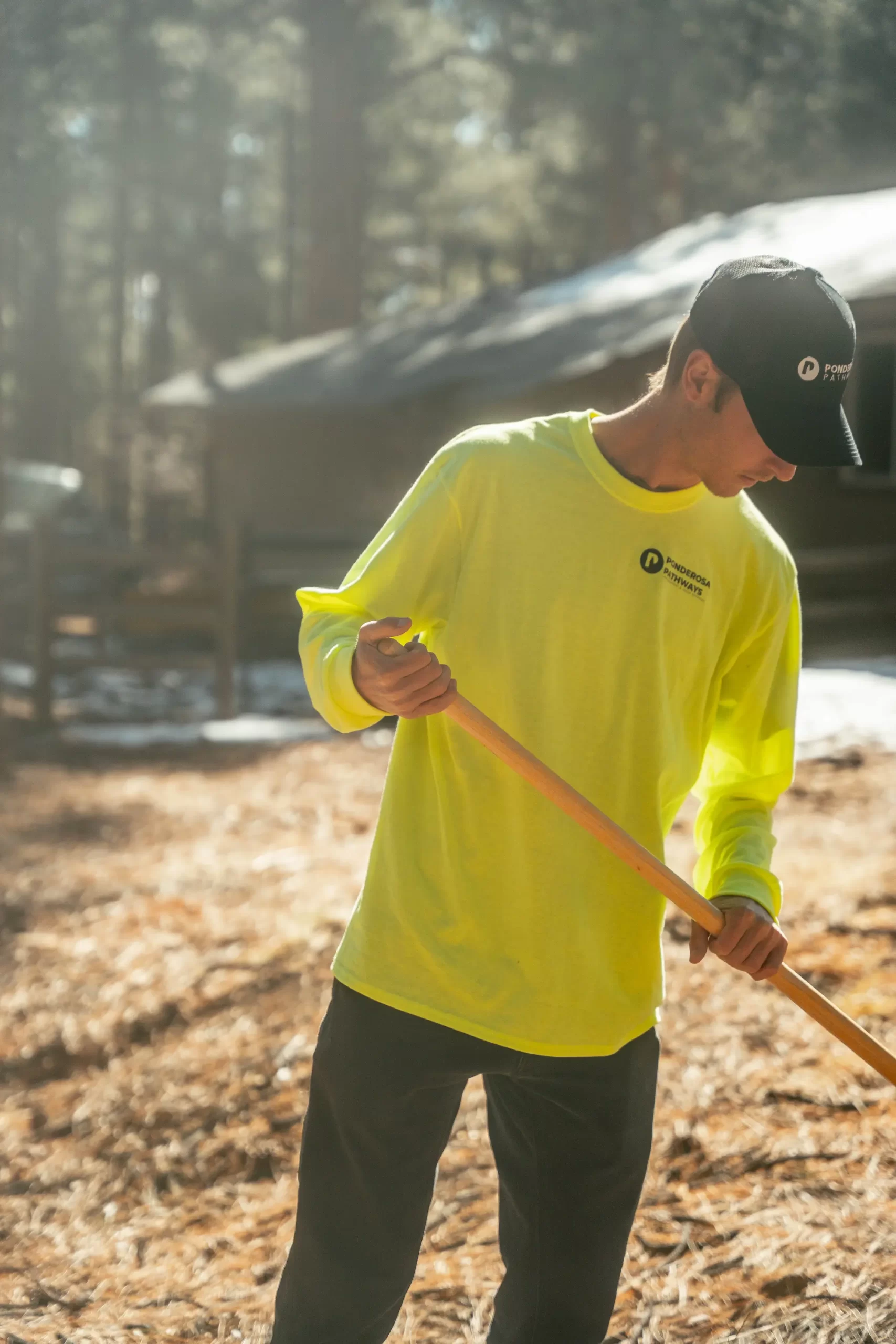 Pine needles being cleaned up by a landscaper in flagstaff arizona
