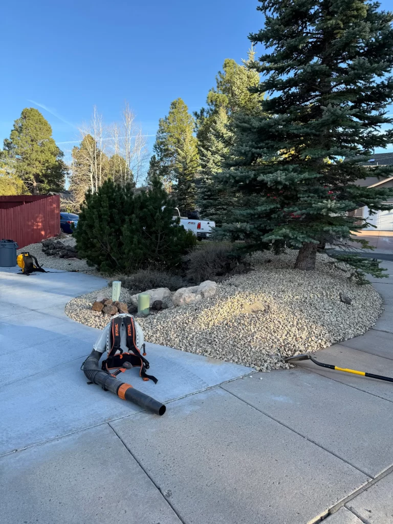 Modern low-maintenance gravel yard in Flagstaff with clean lines, native shrubs