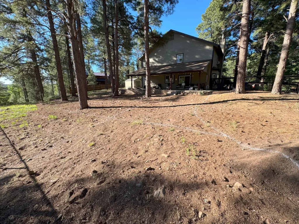 Backyard area of a Flagstaff landscaping project before transformation, with rocky terrain and drainage issues