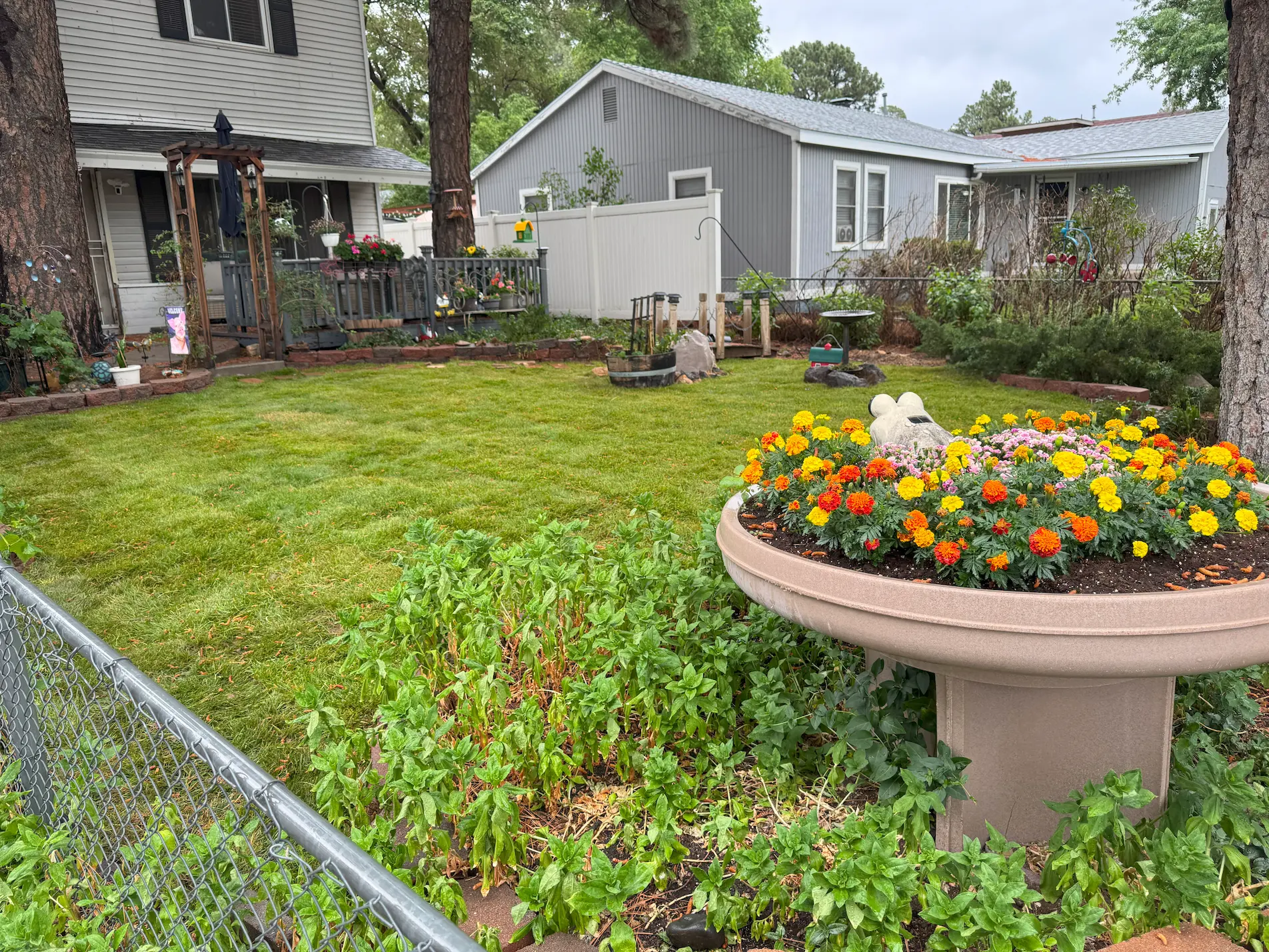 Freshly completed Flagstaff landscaping project with new sod installed in a residential front yard