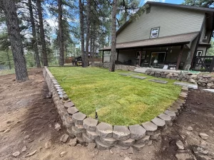 Freshly installed sod lawn in a Flagstaff backyard with sprinkler heads visible, surrounded by pine trees, a retaining wall and a stone path.