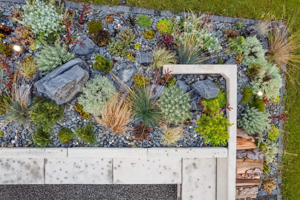 Flagstaff backyard transformed with drought-tolerant landscaping, including rip rap, drip irrigation, and low-maintenance garden beds.