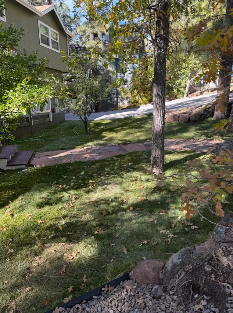Native and drought-tolerant plants installed in a Flagstaff yard — Apache plume and high-altitude species by Ponderosa Pathways