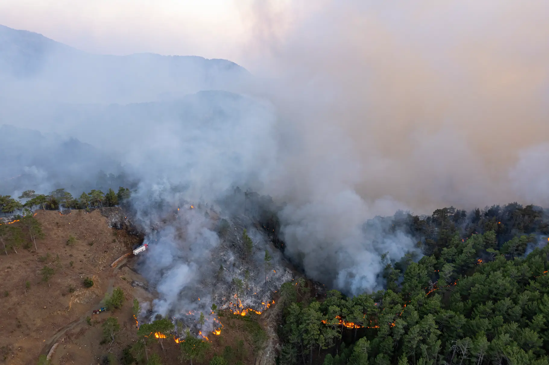 Wildfire burning through a ponderosa pine forest in Northern Arizona