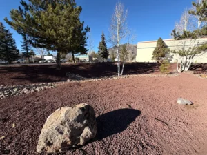 Deteriorating cinder lava rock landscaping in a Flagstaff yard showing breakdown and weed growth