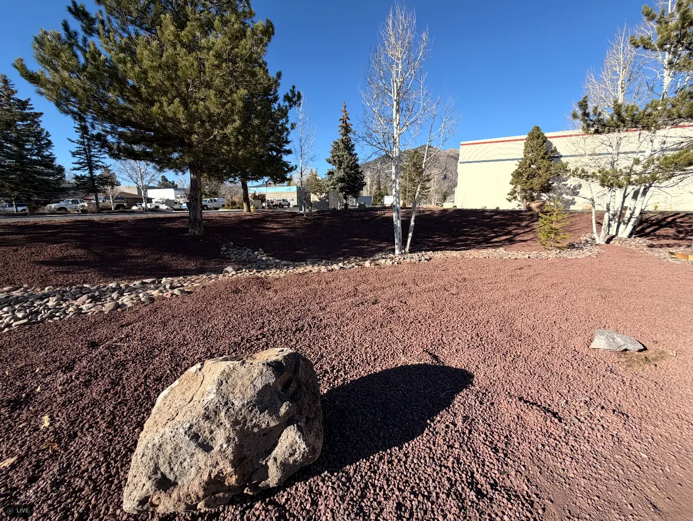 Deteriorating cinder lava rock landscaping in a Flagstaff yard showing breakdown and weed growth